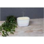 Humidificateur et diffuseur d’arômes 4 en 1 Prixton Connected – Image 6