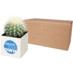 Pot en aluminium avec cactus Hey Pots