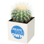 Pot en aluminium avec cactus Hey Pots – Image 5