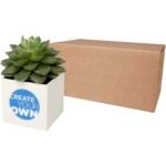 Pot en aluminium avec plante grasse Hey Pots