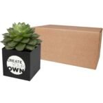 Pot en aluminium avec plante grasse Hey Pots – Image 7