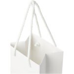 Sac de bouteille de vin en papier 170 g/m2 integra fait à la main avec poignées torsadées en plastique, 12 x 9 x 37 cm – Image 6