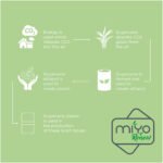 Boite repas 700+700 ml MIYO Renew à deux blocs – Image 8
