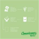 Gobelet Americano® Switch Renew de 300 ml – Image 4