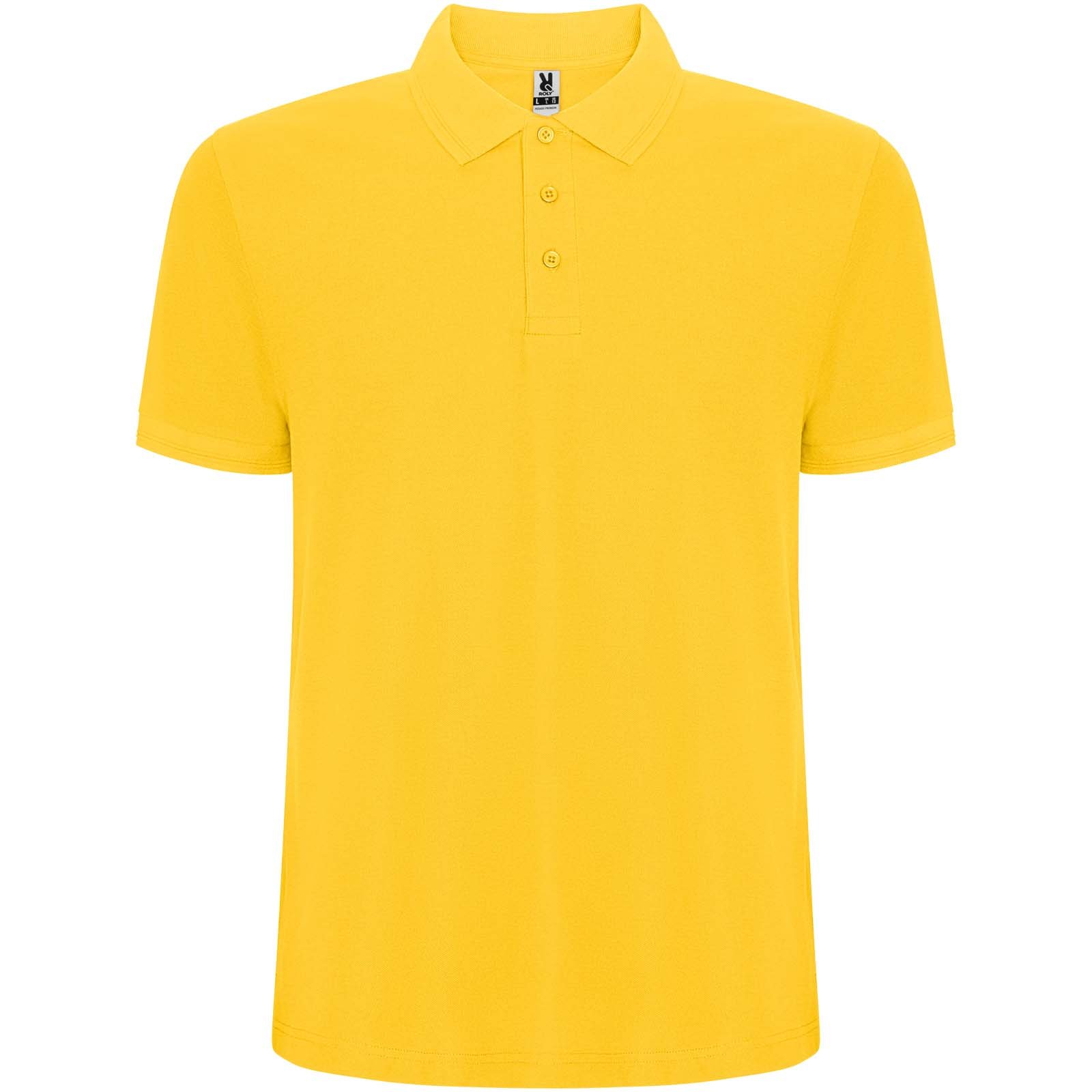 R66091B-1 Polo Pegaso Premium à manches courtes pour homme – Image 1